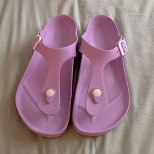 Purple Birkenstocks Gizeh